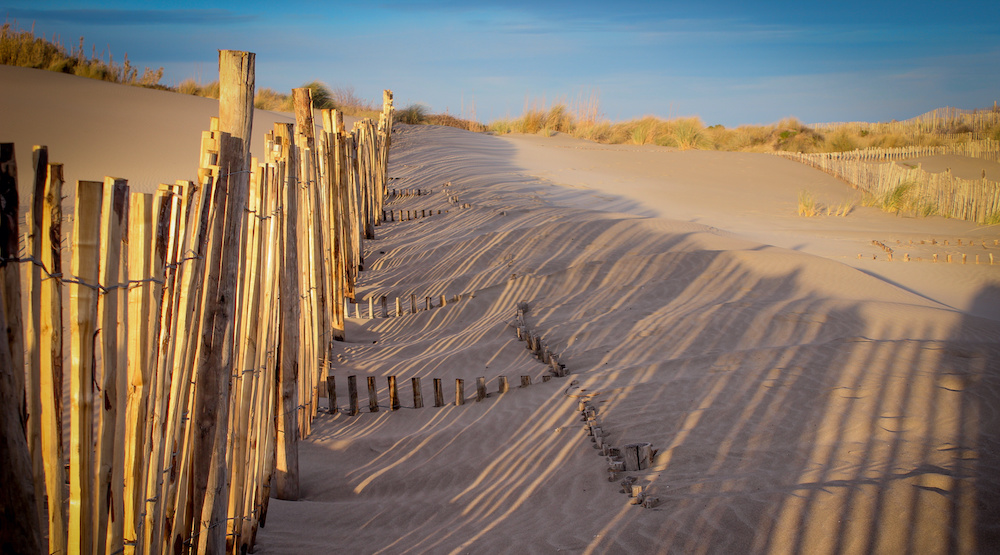 Domaine d'activité : Recherche et Développement